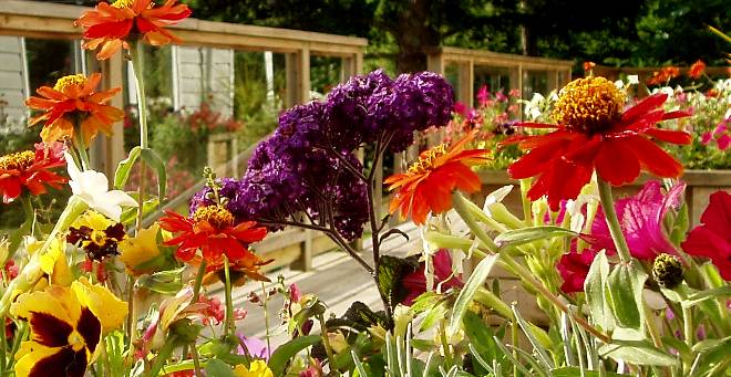 Enjoy the fragrant flower boxes on the Inn deck